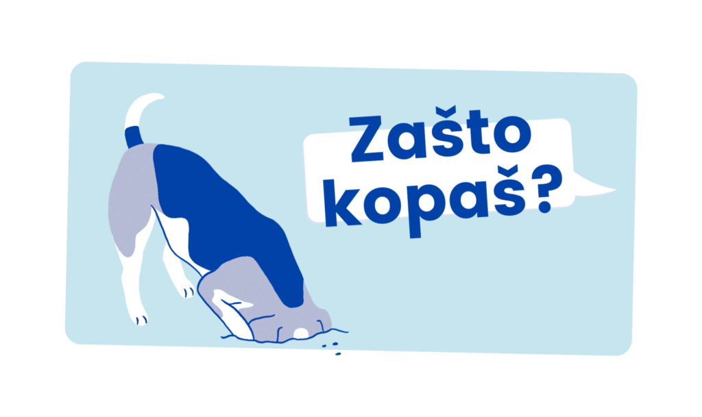 uniko blog zašto kopaš
