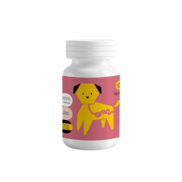 Apipet gastro