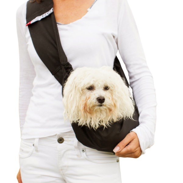 4LazeLegs Pocket Basic