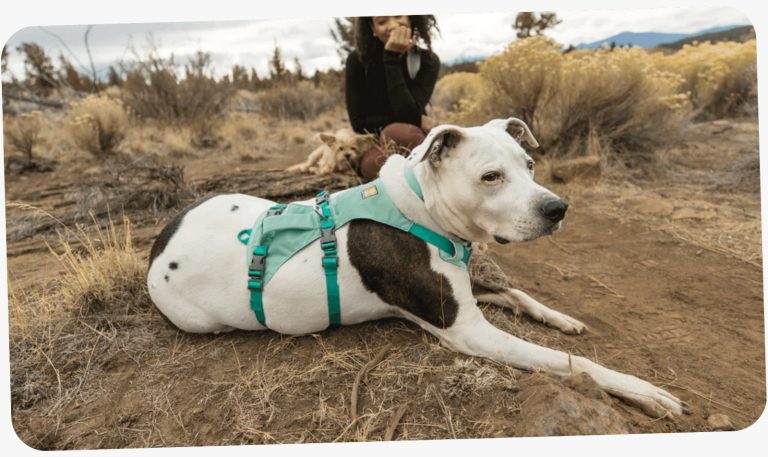 Ruffwear