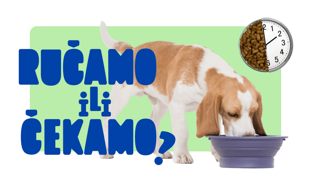 slobodno hranjenje