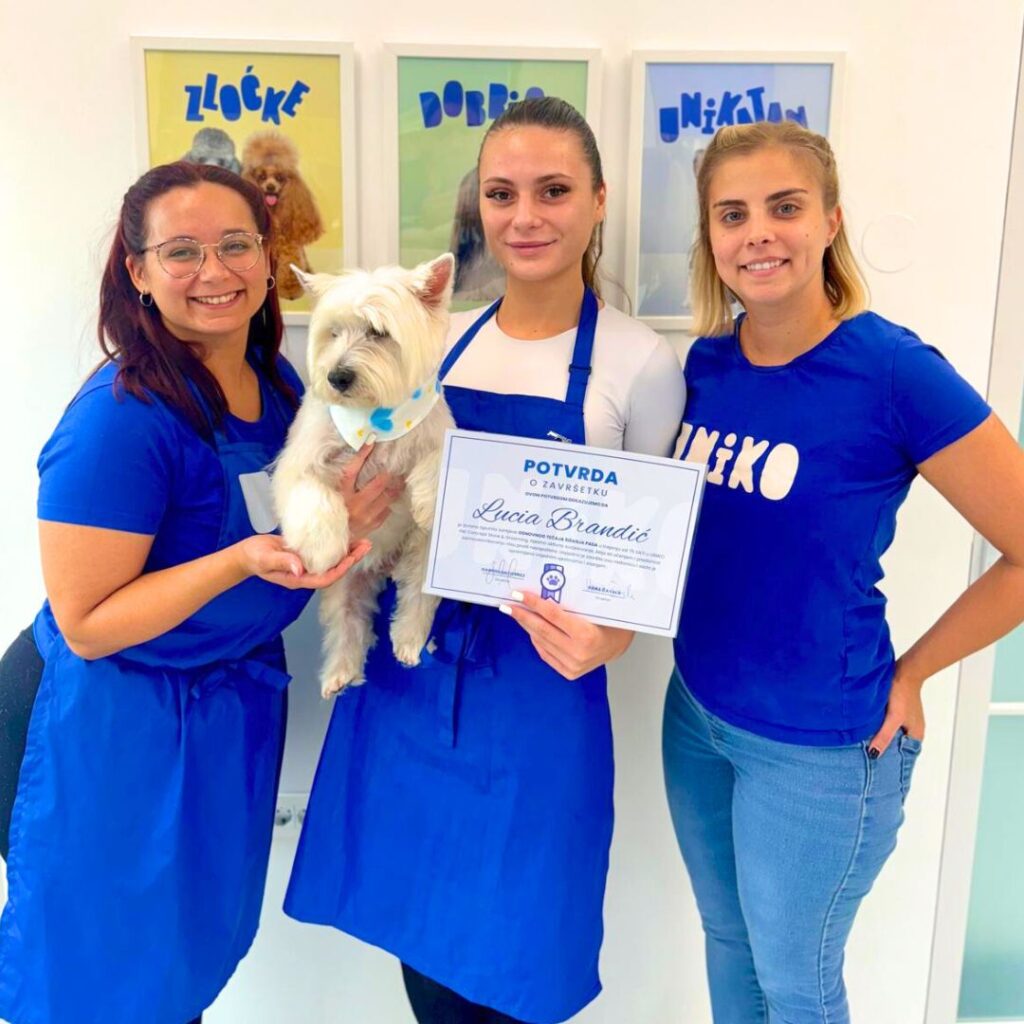 grooming tečaj salon za pse