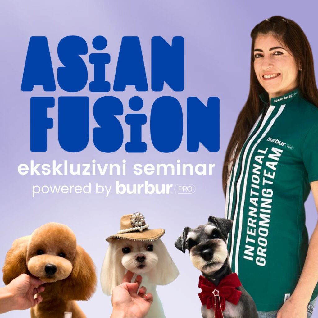 Asian fusion seminar grooming tečaj salon za pse